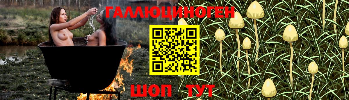 Кашира  Галлюциногенные грибы Psilocybine cubensis  наркошоп  Вход с VPN 